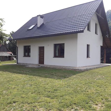 Apartament Pod Lipka Lutowiska Exterior foto